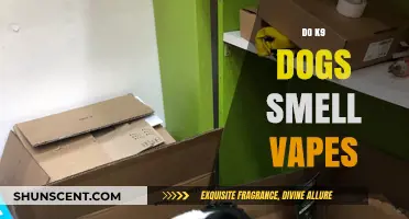 Can K9 Units Detect Vapes? The Science Behind It