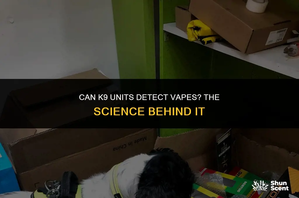 do k9 dogs smell vapes
