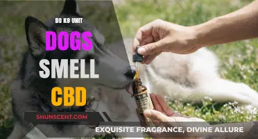 Can K9 Units Detect CBD? Unraveling the Science Behind It