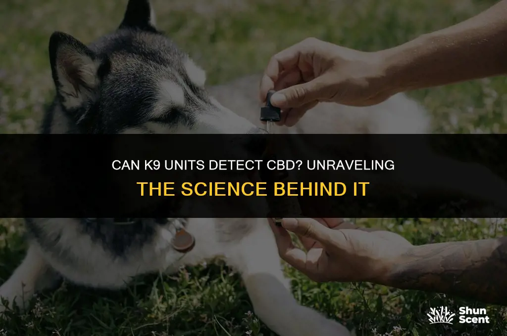 do k9 unit dogs smell cbd