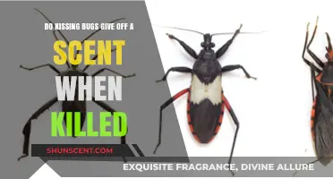 Do Kissing Bugs Emit a Scent When Killed? Uncovering the Truth