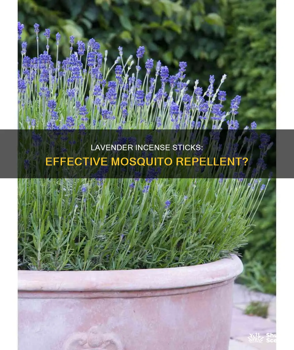 do lavender incense sticks repel mosquitoes