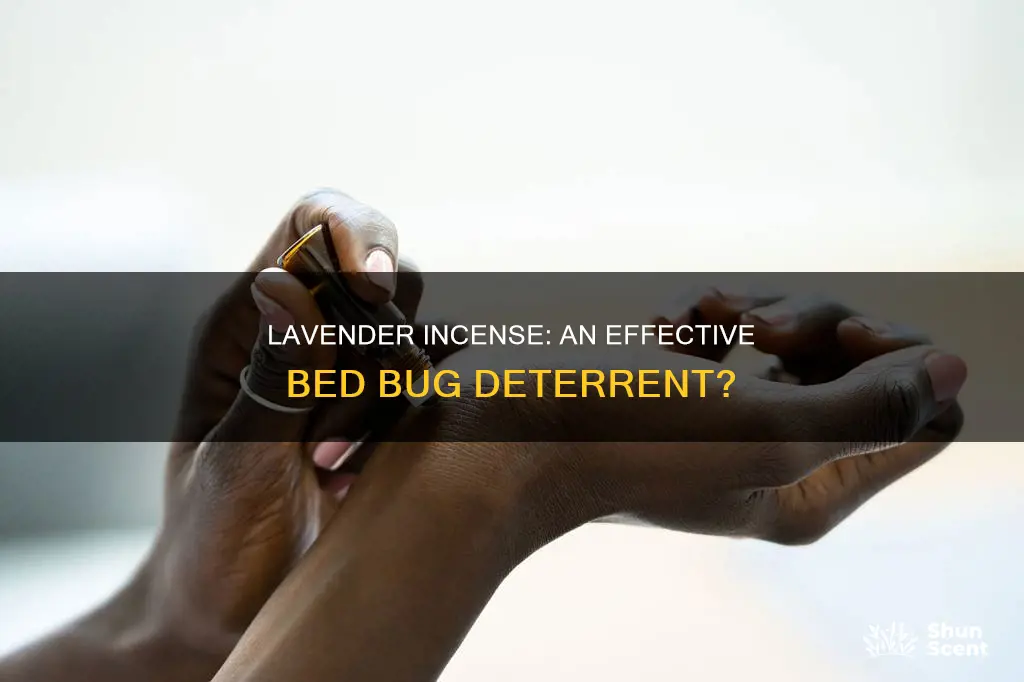do lavender incense work to dter bed bugs