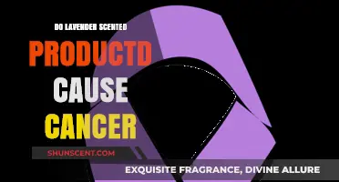 Lavender Scented Products and Cancer: Separating Fact from Fiction