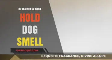 Leather Couches and Pet Odors: A Comprehensive Guide