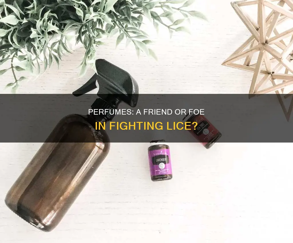 do lice like perfume