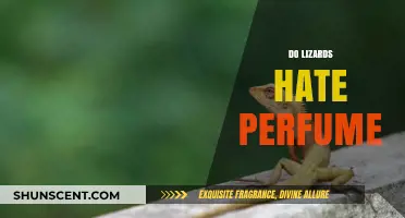 Why Lizards Hate Perfume: Scent Sensitivity