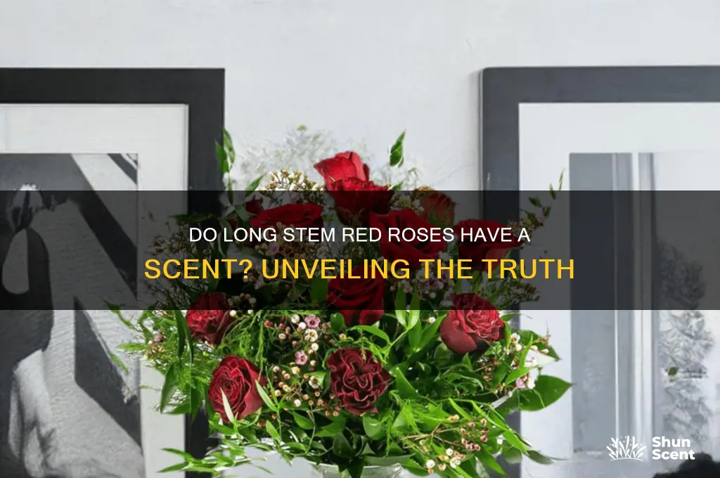 do long stem red roses have a scent