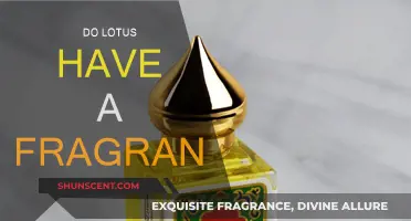 Lotus Fragrance: A Natural Wonder or Myth?