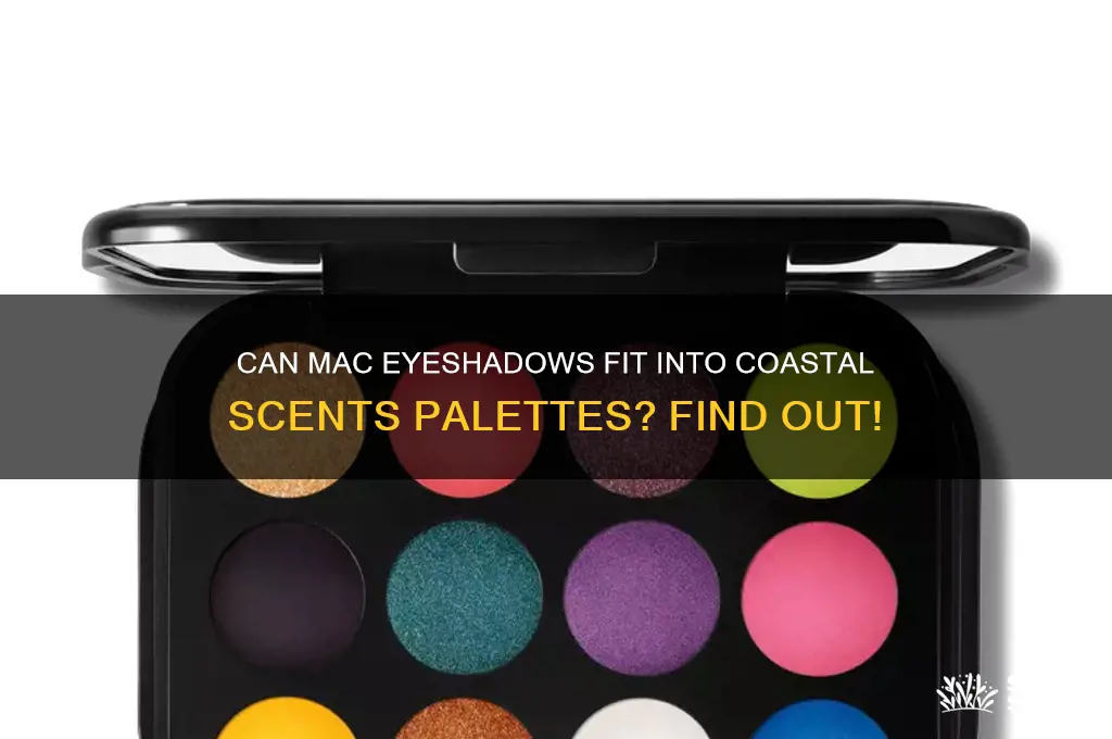 do mac eyeshadows fit into coastal scents palettes