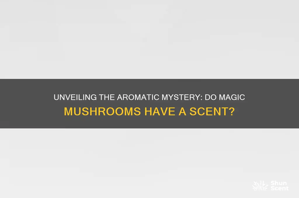 do magic mushrooms have a scent