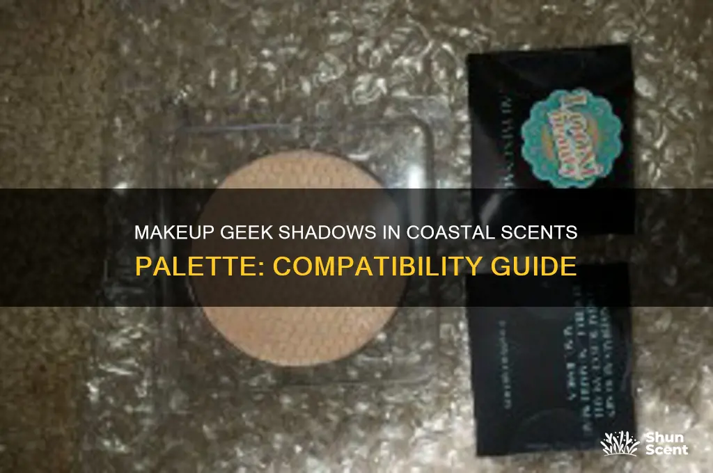 do makeup geek shadows fit in coastal scents palette