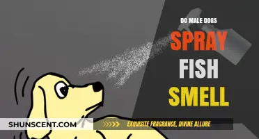 Understanding Canine Behavior: Why Male Dogs Spray Fish Smell