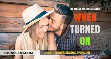 Unveiling the Truth: Do Males Emit a Pheromone When Aroused?