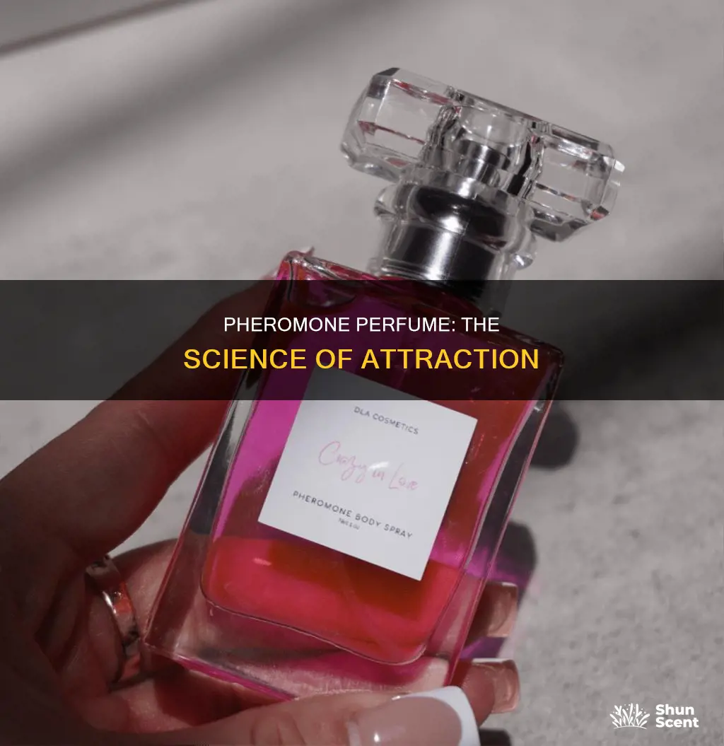 do me pheromone perfume