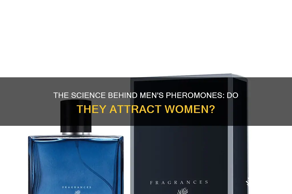 do men secreat a scent that turn women on