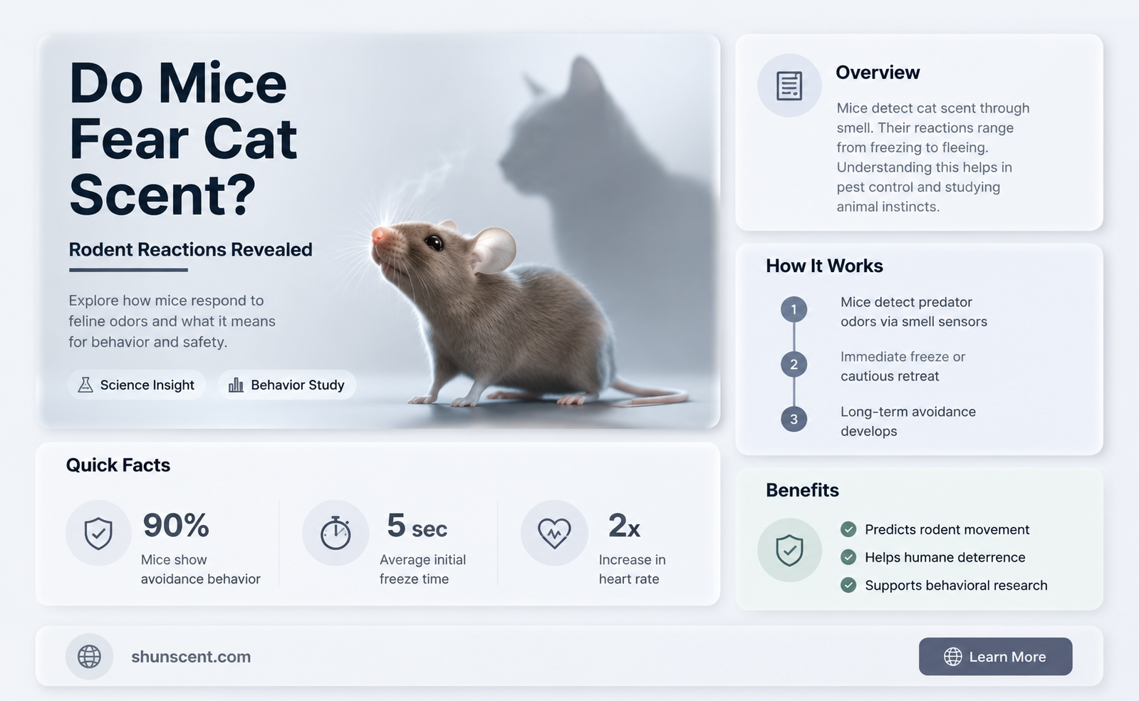 are mice afraid of cat scent