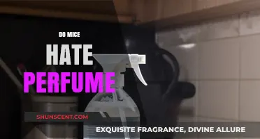 Perfumes: A Natural Mice Repellent?