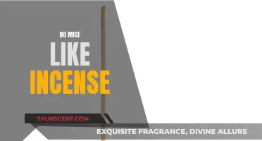 Mice and Incense: A Fragrant Attraction?