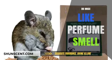 Mice and Perfume: Do They Mix?
