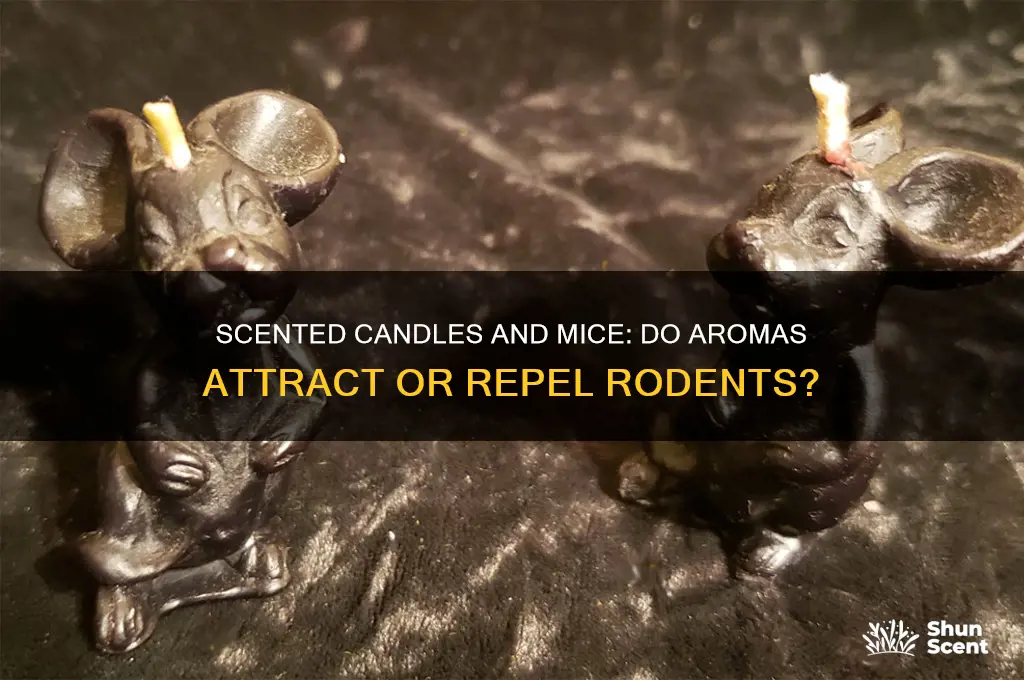 do mice like scented candles