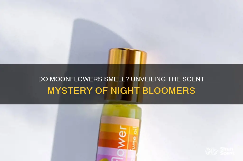 do moonflowers have a scent