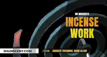 Mosquito Incense: Effective Pest Control or Just Smoke?