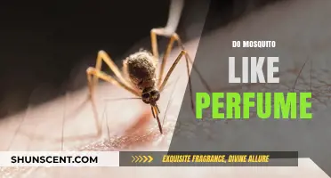 Perfumes: A Mosquito Magnet or Repellent?