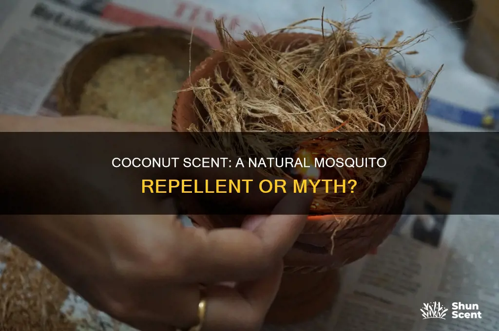 do mosquitoes hate coconut scent