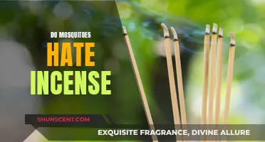 Mosquitoes and Incense: A Natural Insect Repellent?