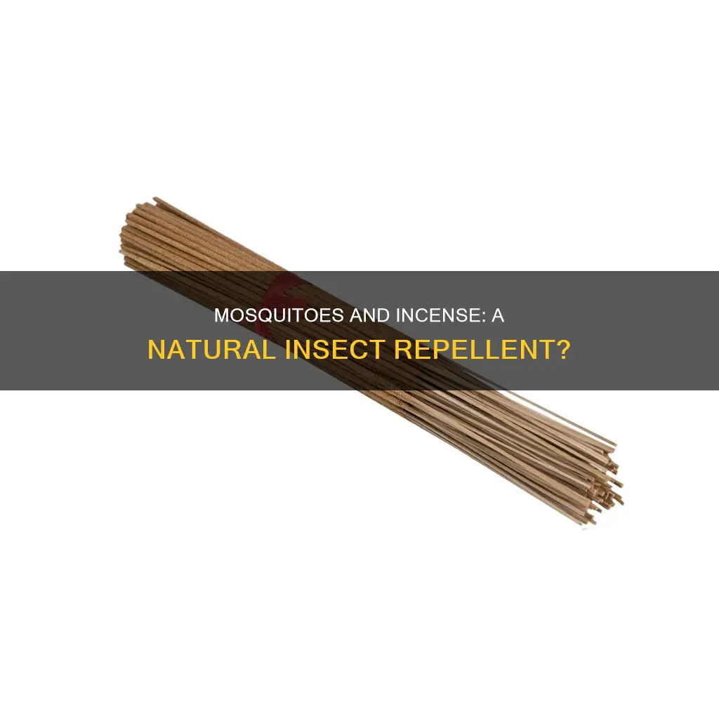 do mosquitoes hate incense