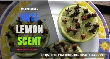 Does Lemon Scent Repel Mosquitoes? Uncovering the Truth Behind the Myth