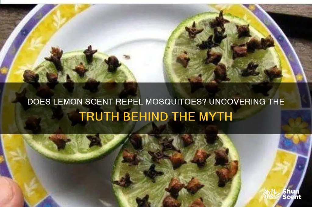 do mosquitoes hate lemon scent