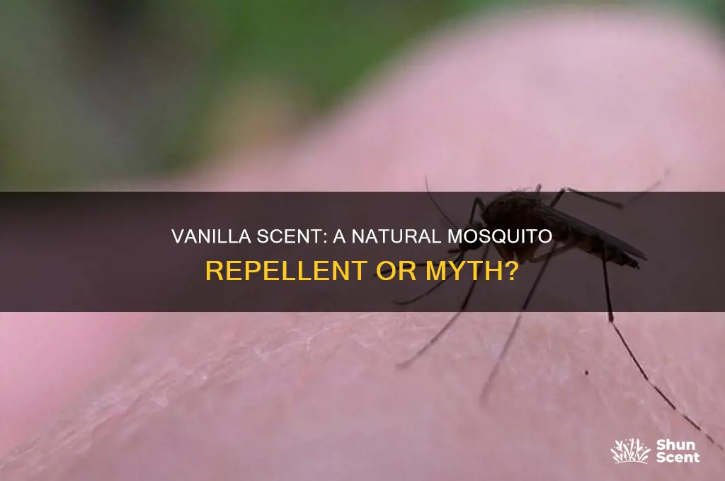 do mosquitoes hate vanilla scent