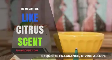 Citrus Scents and Mosquitoes: Do They Attract or Repel?
