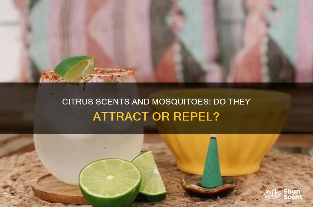 do mosquitoes like citrus scent