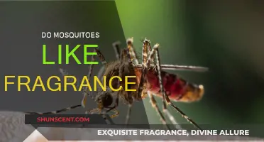 Mosquitoes and Fragrance: What's the Deal?