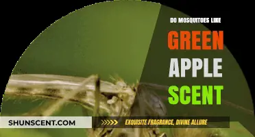 Do Green Apple Scents Attract Mosquitoes? Uncovering the Truth