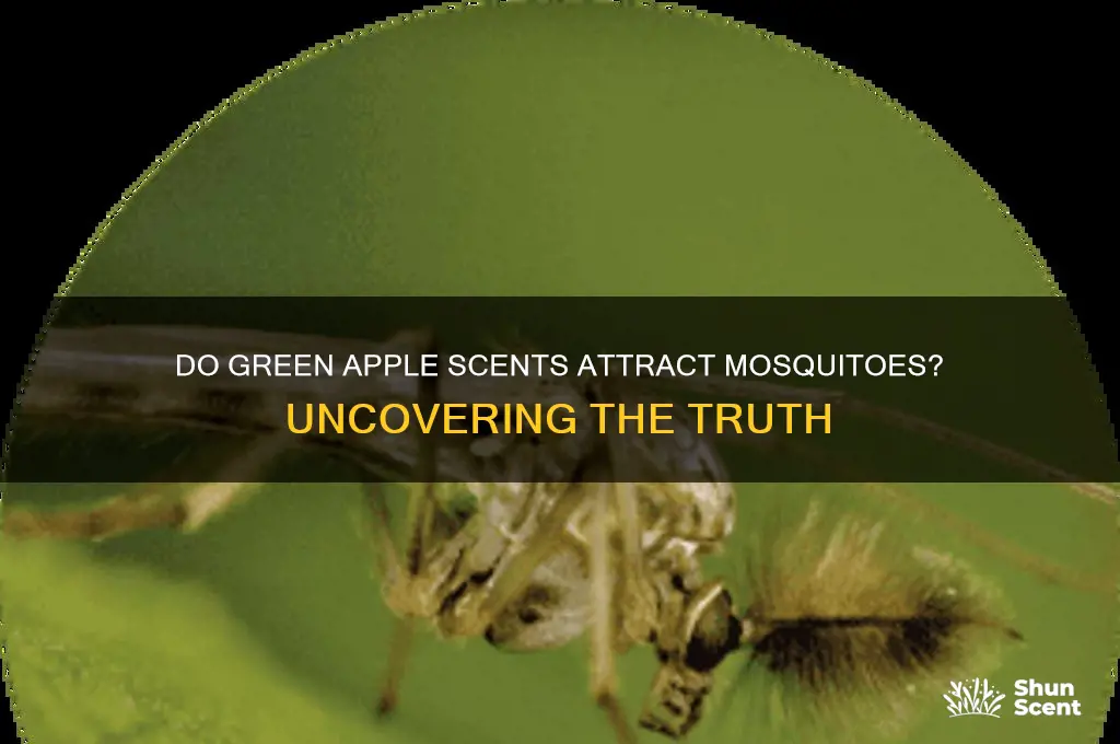 do mosquitoes like green apple scent