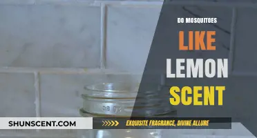 Does Lemon Scent Repel or Attract Mosquitoes? The Surprising Truth