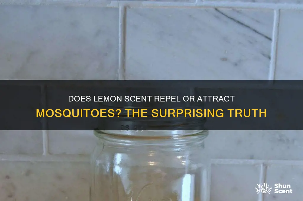 do mosquitoes like lemon scent