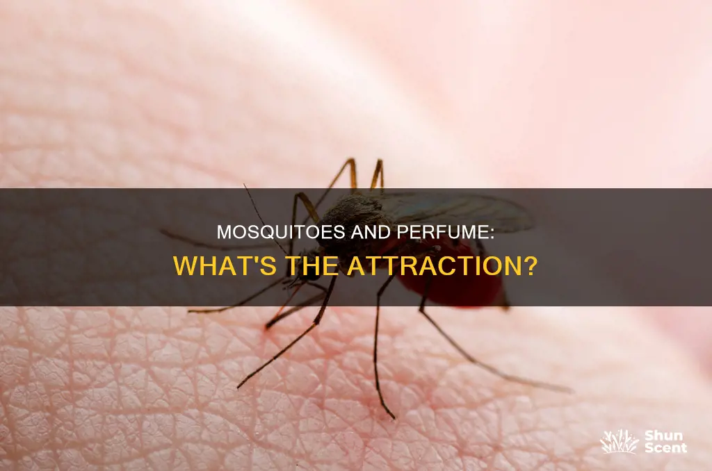 do mosquitoes like perfume