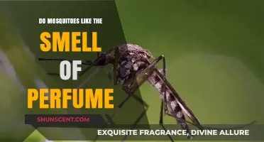 Mosquitoes and Perfume: What's the Attraction?