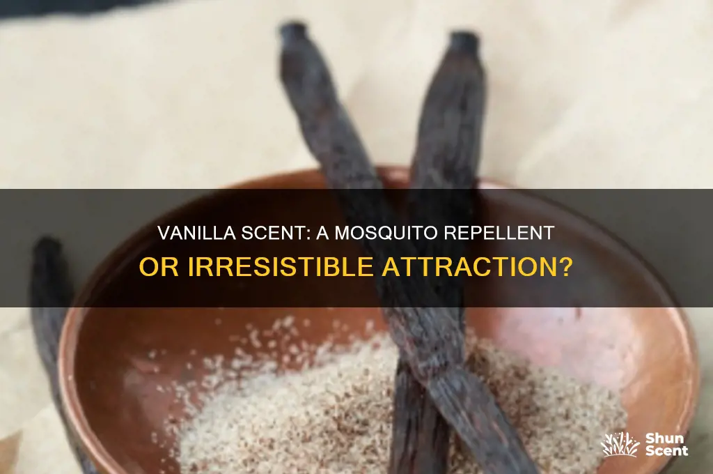 do mosquitoes like vanilla scent