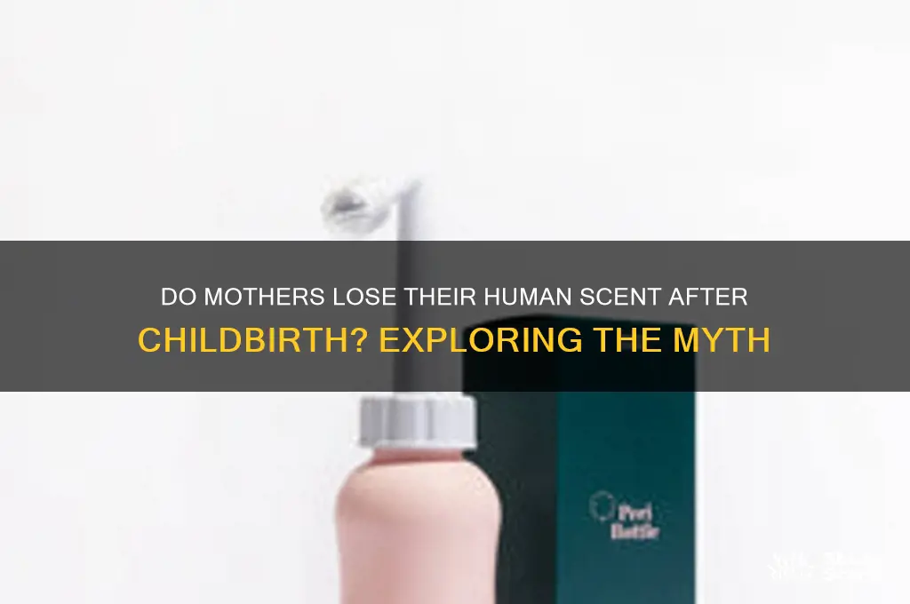 do mothers not come back with human scent