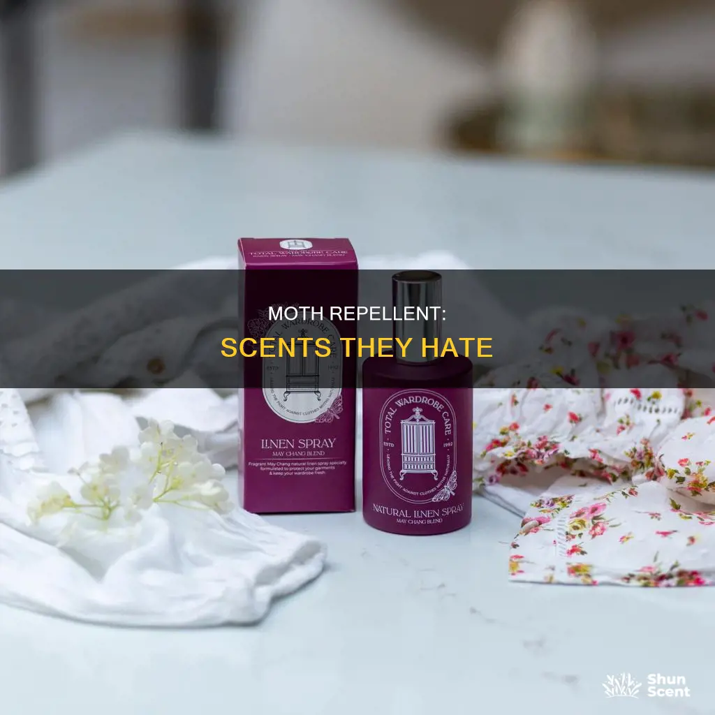 do moths hate perfume