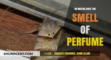 Moth Repellent: Do Scents Work?