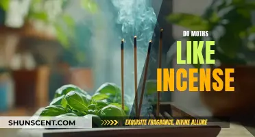 Incense and Moths: A Fragrant Attraction?