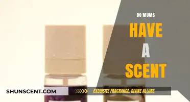 The Unique Scent of Motherhood: Do Mums Have a Signature Smell?