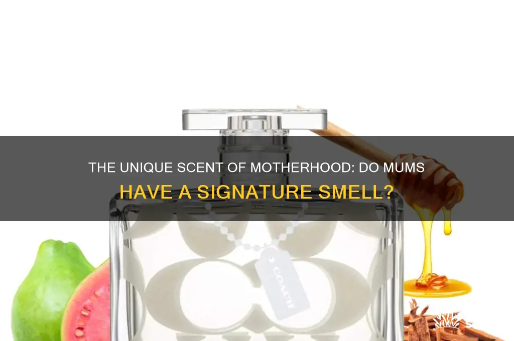 do mums have a scent